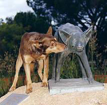 kelpie origin