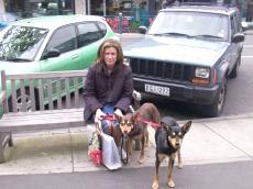 Noonbarra Daisy and Tally in Melbourne: Flyball Frisbee Agility: Australian Working Kelpies and Dog Sports