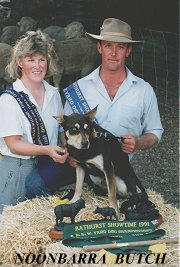 Michael & Linda Johnston with Noonbarra Butch after winning the 1991 NSW Yard Championships.